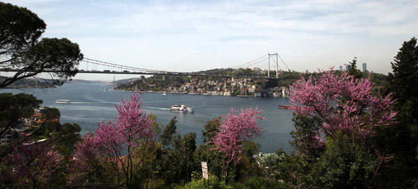 İstanbul erguvan açtı